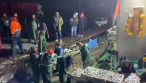 İstanbul'da yasal sınır altında toplanan 8 ton istavrite el konuldu