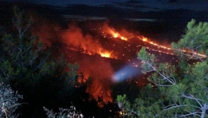 Adana’da orman yangını
