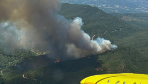 İzmir Bergama'da orman yangını