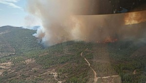 İzmir'de çöplükte çıkan yangın, ormana sıçradı