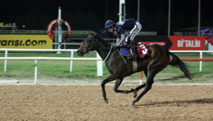 Northern Nurdetta'dan zafer üstüne zafer... Karataş Belediyesi Koşusu'nu da kazandı