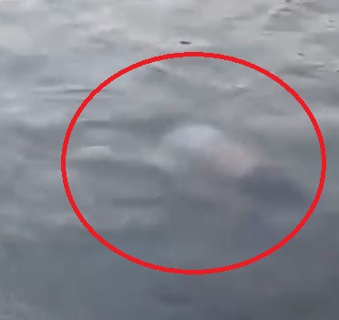 Adana'da sulama kanalında hareketsiz duran kişiyi çevredekiler kurtardı; durumu ağır - Resim : 1