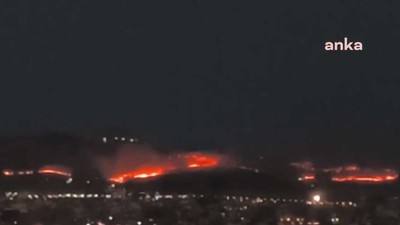 Şanlıurfa Germuş’ta makilik alanda yangın çıktı