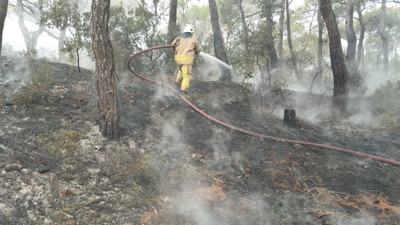Heybeliada'daki yangın kontrol altında