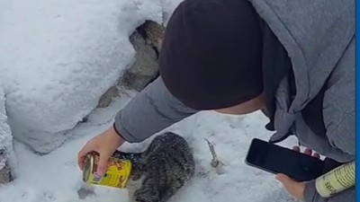 Başı konserve kutusuna sıkışan kediyi 2 kardeş kurtardı