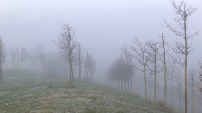 Yeni yılın ilk gününde İstanbul'da sis etkili oldu
