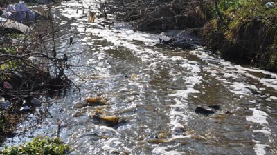 Kırklareli'nde kirlenen Saranlı Deresi'nin rengi değişti