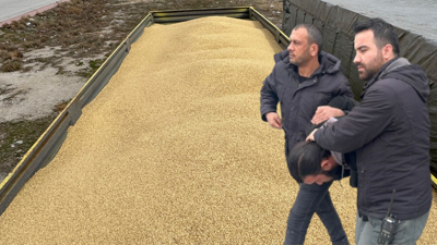 Arkadaşıyla plan yapıp, çalıştığı iş yerinden 250 ton arpa çaldı