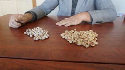 Siirt Fıstık Üreticileri Birliği'nden 'kaçak İran fıstığı' uyarısı