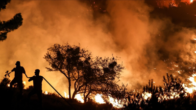 Arap ve Akdeniz ülkeleri yangınlarla mücadele için bir ağ oluşturmayı planlıyor