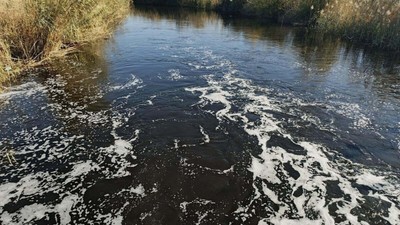 Büyük Menderes Nehri kirlilik nedeniyle siyaha büründü