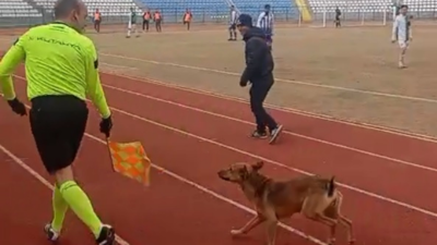 Sahaya giren köpeği yan hakem çıkardı; o anlar kamerada