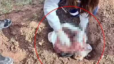 Poşette yeni doğmuş kız bebek cesedi bulunmuştu; cani anne iple boğup, araziye atmış