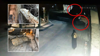 Tarihi caminin bahçesindeki 550 yıllık ağacın devrilme anı kamerada