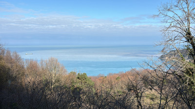 Bartın Irmağı'ndan akan çamurlu suyla denizin rengi değişti