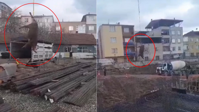 Boğa, ayağından halata bağlanıp vinçle kesim alanına taşındı