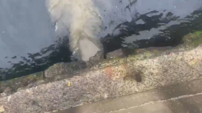 İSKİ yine Kuleli'de denizi kirletti: Atık su deşarjına 2.6 milyon TL ceza