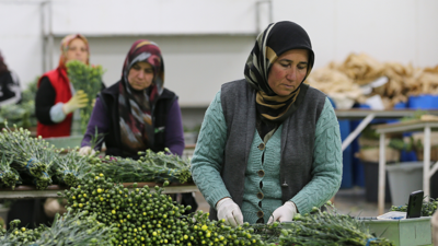 Dünyanın kadınlarına Türkiye'den 75 milyon dal çiçek