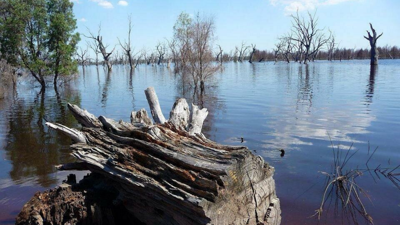 Kenya'da 6 kişi kolera salgınından hayatını kaybetti