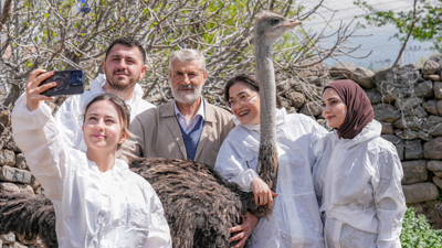 Yalnızlıktan strese giren firari deve kuşu Hüdhüd'e eş aranıyor