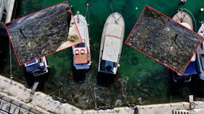 Kabus geri döndü! Beykoz sahilinde deniz yüzeyinde müsilaj görüldü