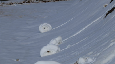 Doğada ender oluşan kar ruloları Amasya'da tekrar görüldü