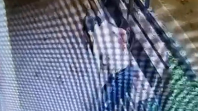 Ablasını rahatsız edeni öldüren 17 yaşındaki sanığa müebbet talebi