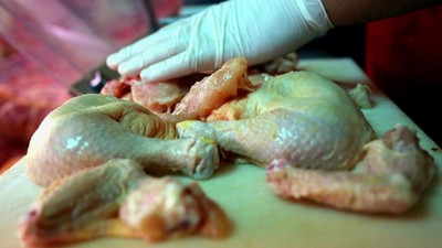 Bahar ve yaz aylarında Salmonella tehlikesine dikkat! İşte gıda zehirlenmesinin başlıca sebepleri