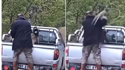 Kamyonette köpeğe halatla şiddet uyguladı, gözaltına alındı