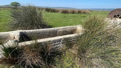 Çanakkale’de, İngiliz ve Fransızlar arkeolojik kazı yapıp, buldukları eserleri ülkelerine götürmüş