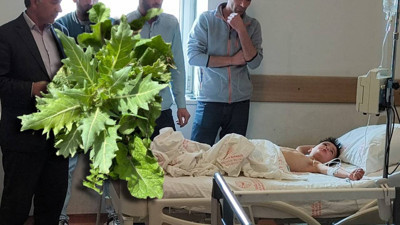 Kars'ta 'güzelavrat' otu yiyen 8 çocuk zehirledi; 6'sı taburcu edildi