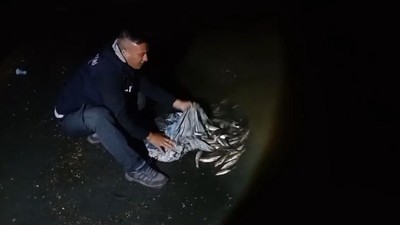 Van'da kaçak avlanan 60 kilo canlı inci kefali ele geçirildi