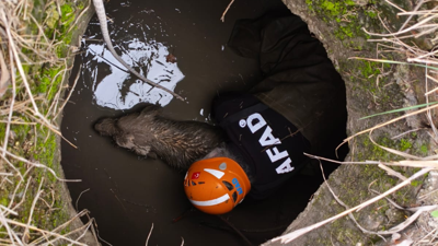 Eskişehir'de kuyuya düşen köpeği AFAD ekipleri kurtardı