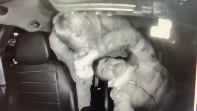 İngiliz boksörün taksi şoförünü darbettiği görüntüler ortaya çıktı