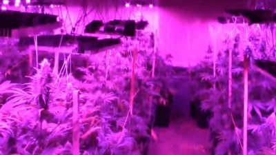 Bursa'da 600 polisle uyuşturucu operasyonu: 41 gözaltı