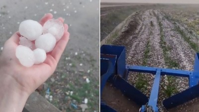 Adana'da dolu yağışı; tarım arazileri zarar gördü