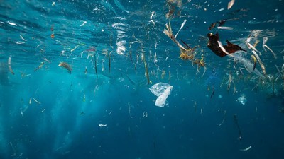 Okyanusun her katmanında mikroplastik bulundu