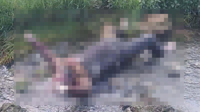 Cezaevinden izinli çıktı, dere yatağında ölü bulundu