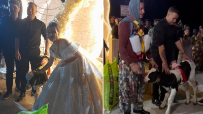 Düğünde gelin ve damada takı yerine at ve buzağı hediye edildi