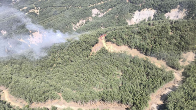 Çanakkale'de çıkan orman yangını 1 saatte kontrol altına alındı