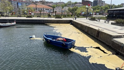 Balıkesir'in Bandırma kıyılarında müsilaj görüldü