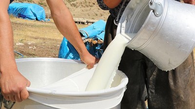Rekabet Kurumu'ndan süt pazarına yönelik soruşturma