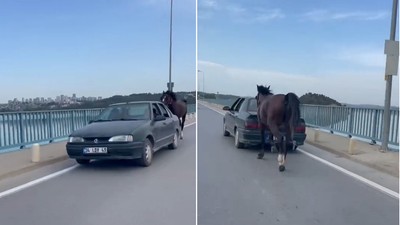 Otomobile bağladığı at ile ilerledi; 2 gözaltı