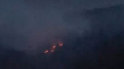 Adana'da 2 farklı noktada çıkan orman yangını kontrol altına alındı