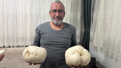 Ispartalı doğasever yürüyüş sırasında "dev mantarlar" buldu