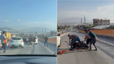 Çiftlikten kaçan deve kuşu ortalığı birbirine kattı