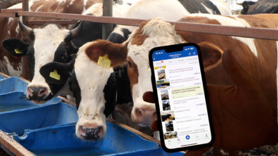 Bayram öncesi 'Bir tıkla bağış değil, tuzağa düşüyorsunuz' uyarısı