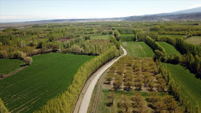 2B arazilerinde mülkiyet sorunları çözülecek... 6 soruda 2B arazilerinde mülkiyet hakları ve tapu süreci