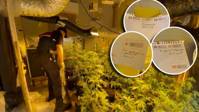 Evde yetiştirdiği kenevirle ilgili notları duvara asmış