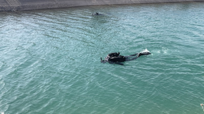 Şanlıurfa'da sulama kanalında akıntıya kapılan çocuğu arama çalışmaları 4. gününde sürüyor